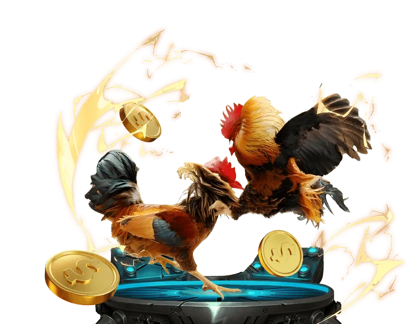 Tích lũy điểm thưởng và hoạt động